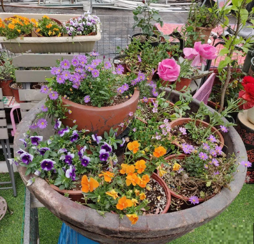 人家拆迁，我捡宝贝，花盆大缸……随便拿！