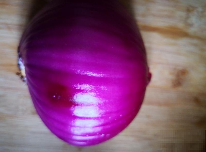 洋葱吃不完别扔，养花甚好，花叶嗖嗖长！