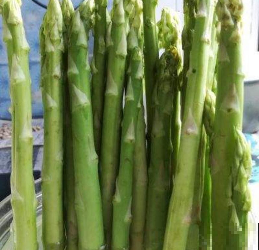 芦笋美味,冬天也能吃,买个种根就能种,太实惠! 芦笋美味,冬天也能吃,买个种根就能种,太实惠!