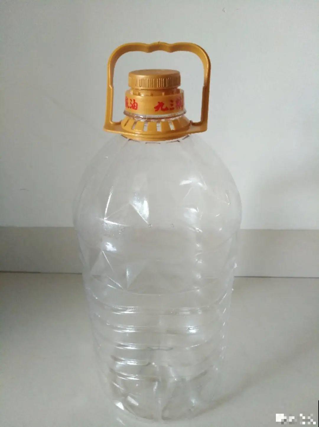 垃圾桶也能养花，扦插种菜样样行，省了不少买盆钱