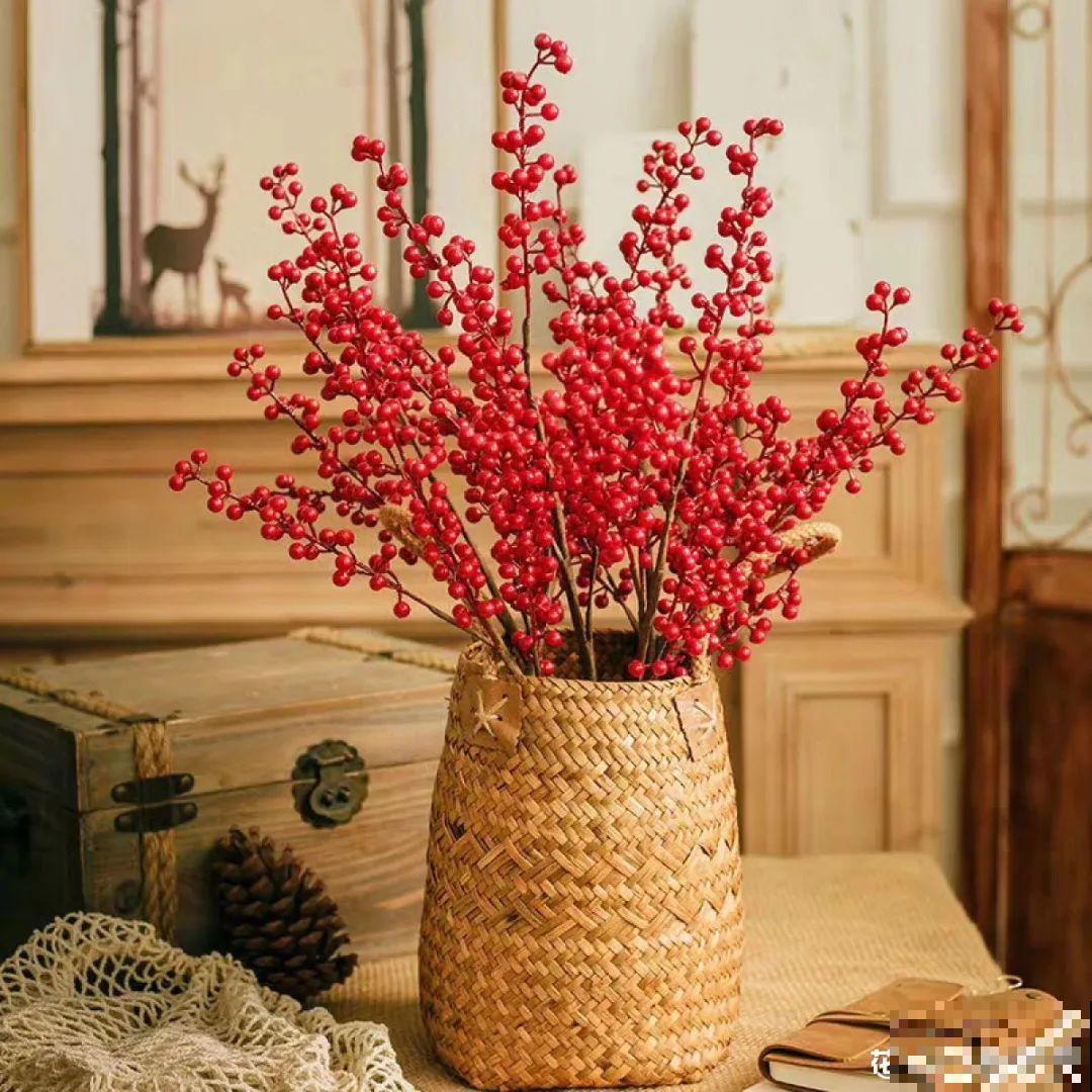 水培花只用水养，根系长得旺，太牛了！