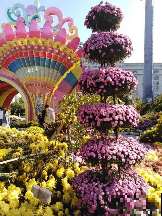 花展上价值好几万的花，看一眼就震撼，太漂亮