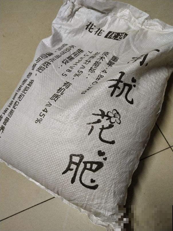 花盆里垫4种“小东西”，花不烂根还透气，根长得超壮