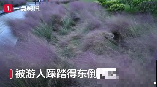 假期出门玩，遇到不文明行为，必须曝光！