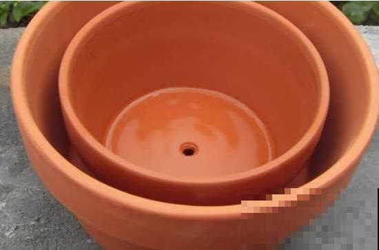 小盆养花好，大盆养花死，真准！