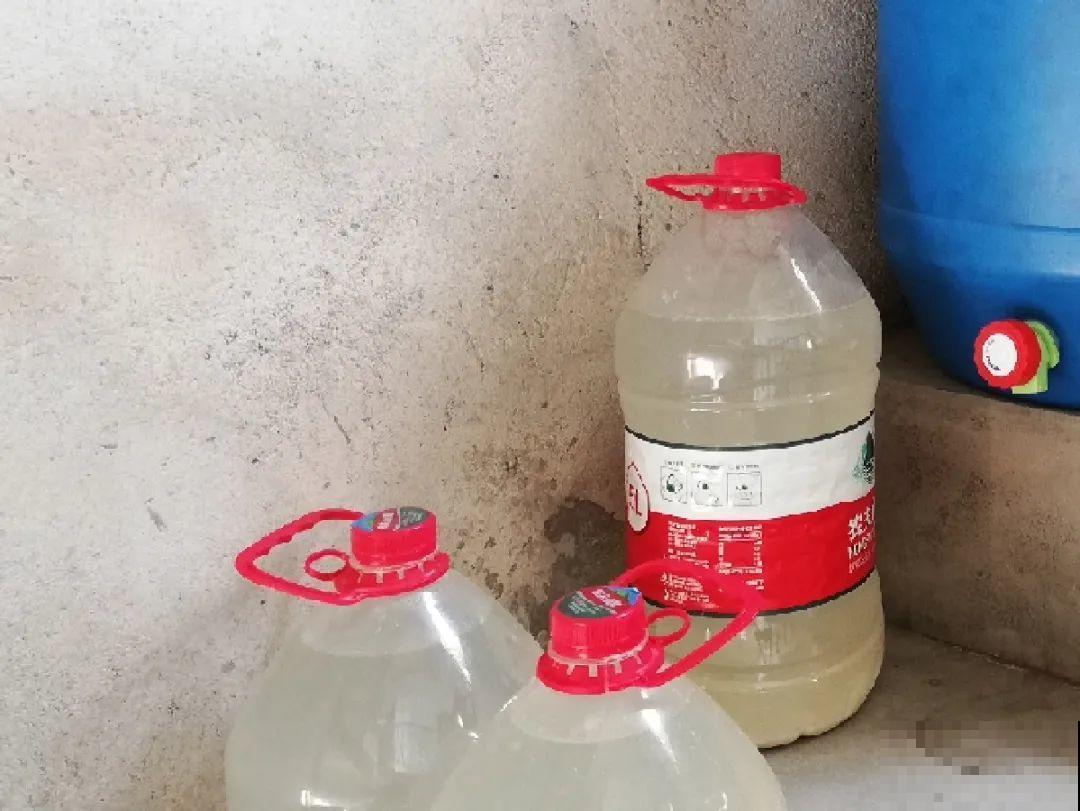 不敢用淘米水了,浇完花就死,土里都是虫! 不敢用淘米水了,浇完花就死,土里都是虫!