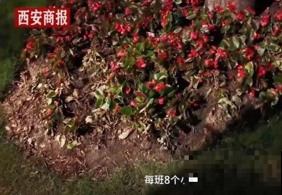 假期出门玩，遇到不文明行为，必须曝光！