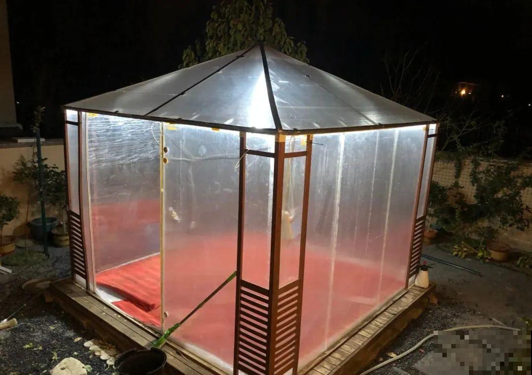 立冬了，给花裹上报纸，冬天再也冻不死！