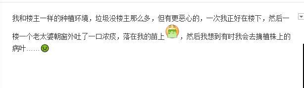 市里区一楼做个小花园,的确很美,一定要注意照顾邻居感受 市里区一楼做个小花园,的确很美,一定要注意照顾邻居感受