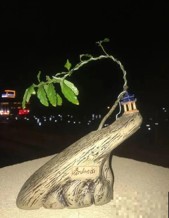 酒瓶子别丢掉,那可是种花神器,省了一笔买花钱 酒瓶子别丢掉,那可是种花神器,省了一笔买花钱