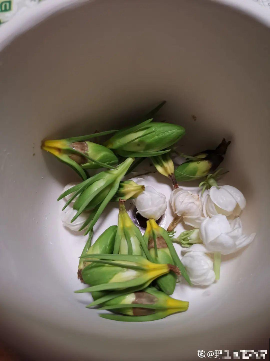 冒出来的花苞全剪了,气的人肝疼,1个月后竟然爆开花! 冒出来的花苞全剪了,气的人肝疼,1个月后竟然爆开花!