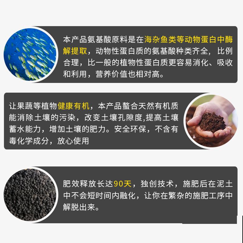 月季爆笋芽了，花友喜滋滋，先别乐，这个时期要慎重！