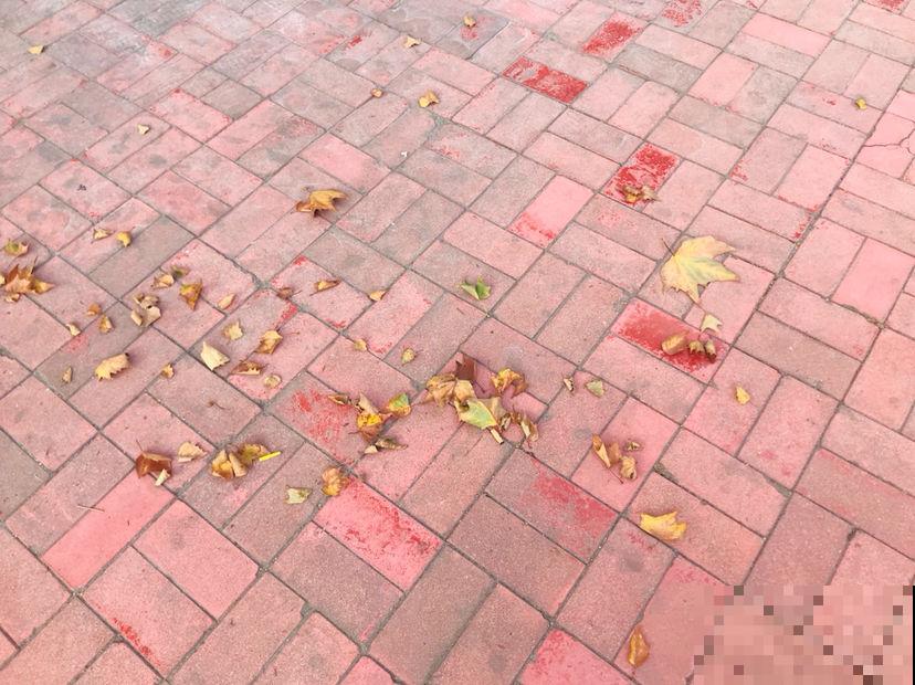 春捂秋冻要看温度，身体这5个地方，不能冻