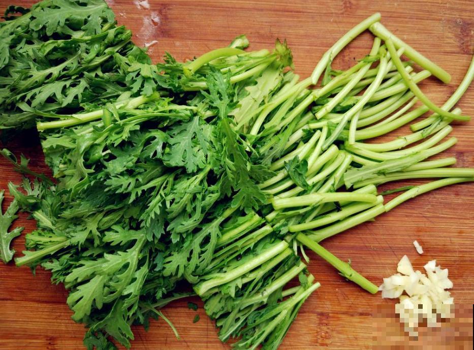 茼蒿菜这样养，一年四季不愁吃，特省钱！