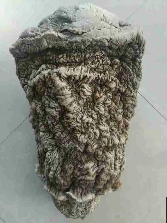 路边看到这种花，赶紧跑，离得越远越好！