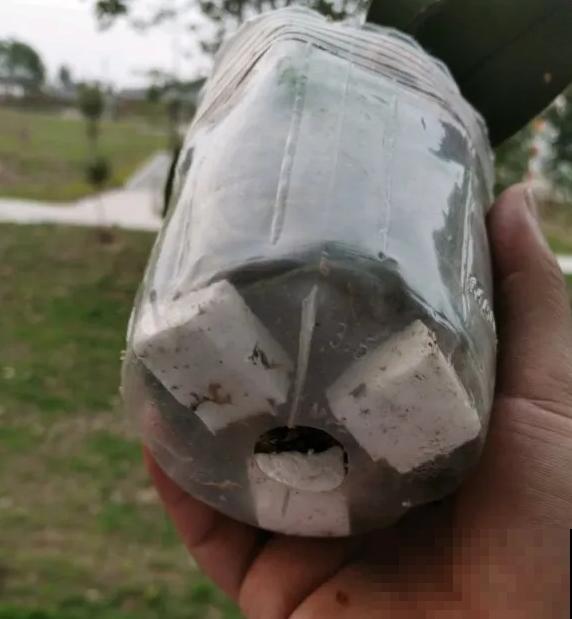 养花土不够了，泡沫来凑，花竟然长的更好了？