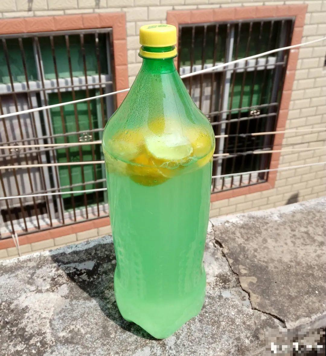 不敢用淘米水了,浇完花就死,土里都是虫! 不敢用淘米水了,浇完花就死,土里都是虫!