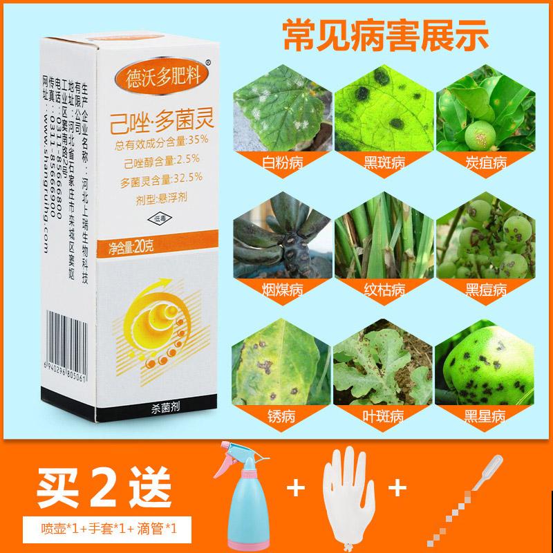 芦笋美味,冬天也能吃,买个种根就能种,太实惠! 芦笋美味,冬天也能吃,买个种根就能种,太实惠!