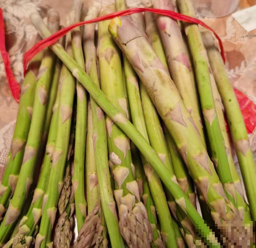 芦笋美味，冬天也能吃，买个种根就能种，太实惠！