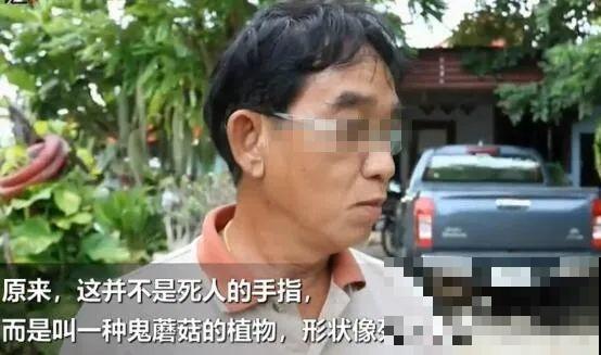 路边看到这种花，赶紧跑，离得越远越好！