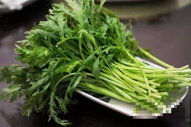 茼蒿菜这样养，一年四季不愁吃，特省钱！