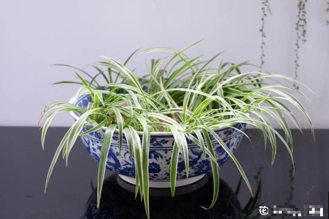 人家拆迁，我捡宝贝，花盆大缸……随便拿！