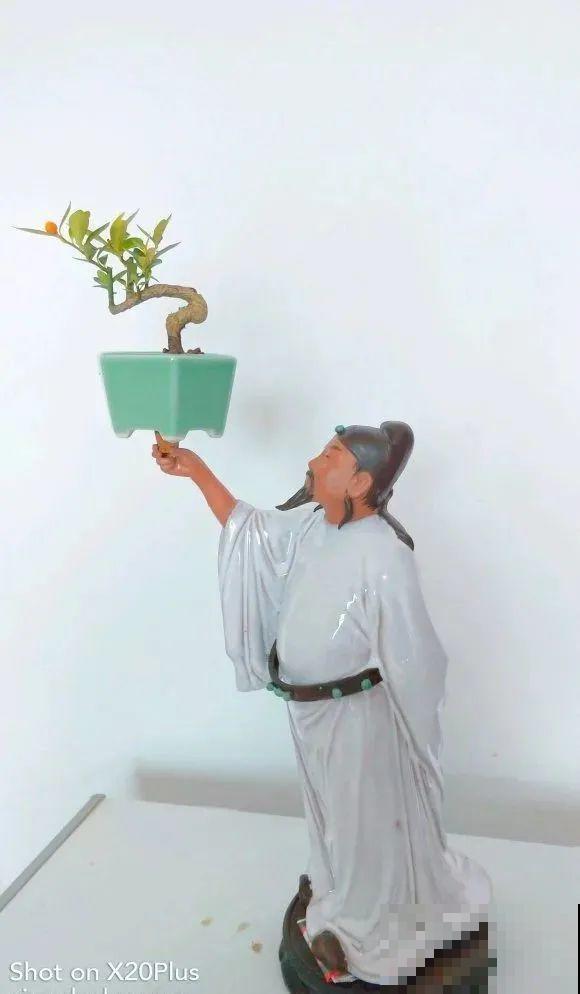 酒瓶子别丢掉,那可是种花神器,省了一笔买花钱 酒瓶子别丢掉,那可是种花神器,省了一笔买花钱