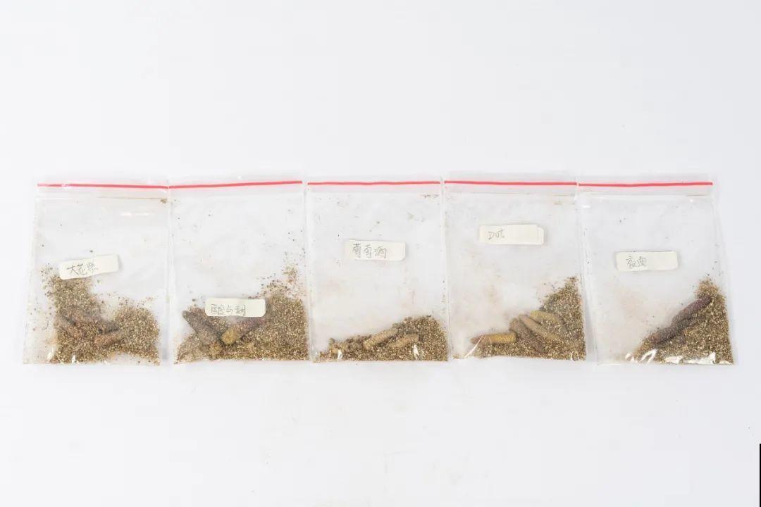 15种花，开完花就结种子，千万别丢掉