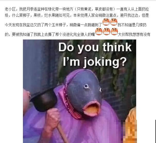 市里区一楼做个小花园,的确很美,一定要注意照顾邻居感受 市里区一楼做个小花园,的确很美,一定要注意照顾邻居感受