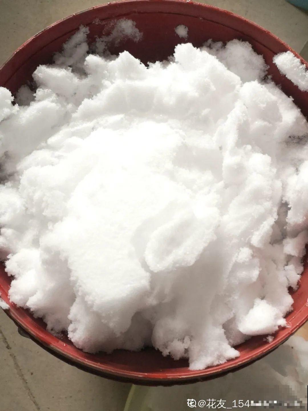 老祖宗留下来的养花谚语,真准! 老祖宗留下来的养花谚语,真准!