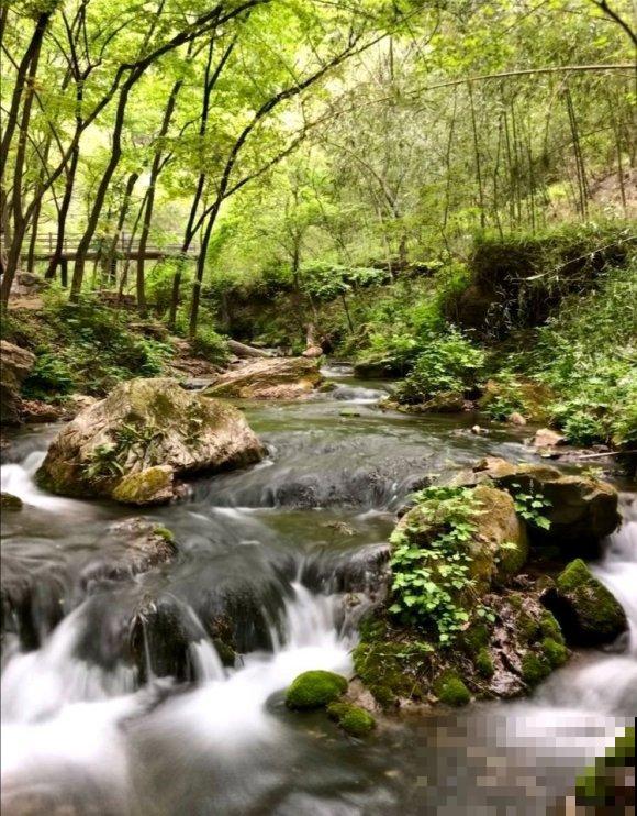 秋日开花多，美景拍下来，留住最美一刻