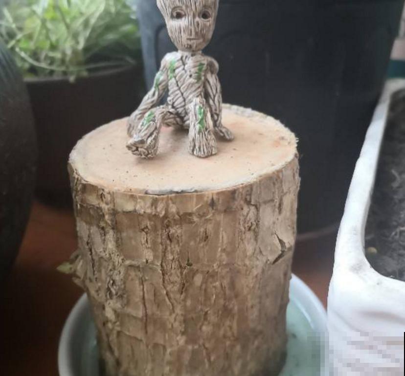 格鲁特小木桩太火，小木桩泡水里，嗖嗖冒出绿叶子！