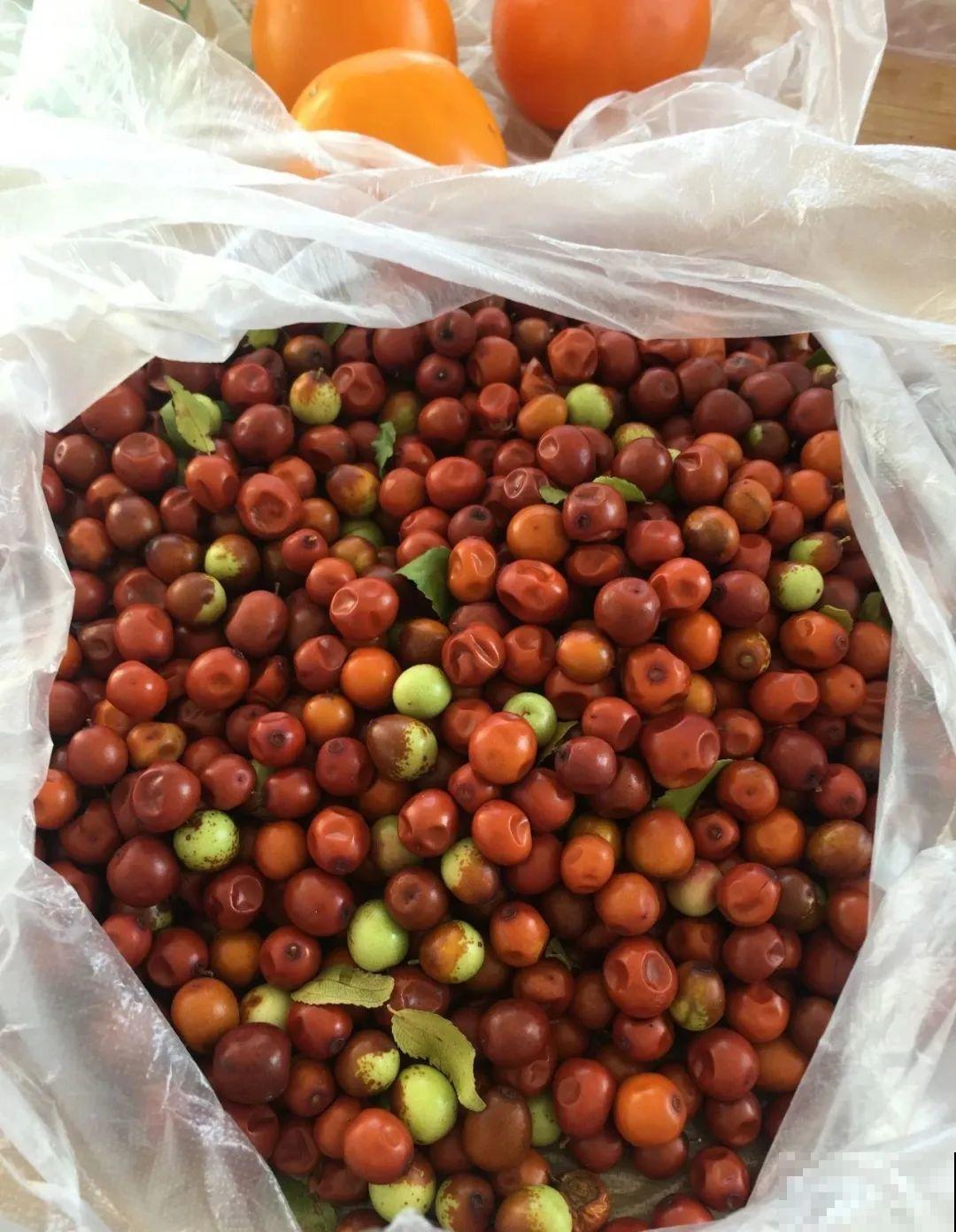 秋天野果都熟了，抓一把塞嘴里，太好吃了！