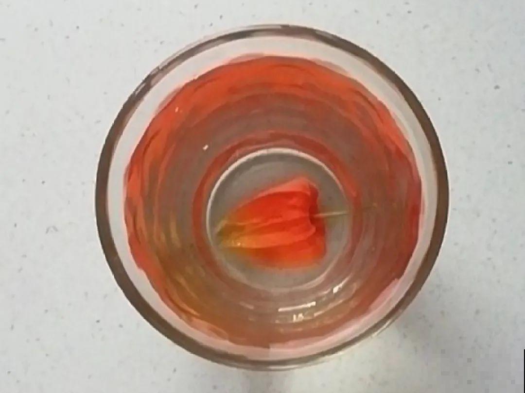 白菜在家养了8年,养成了老桩,长得可旺盛! 白菜在家养了8年,养成了老桩,长得可旺盛!