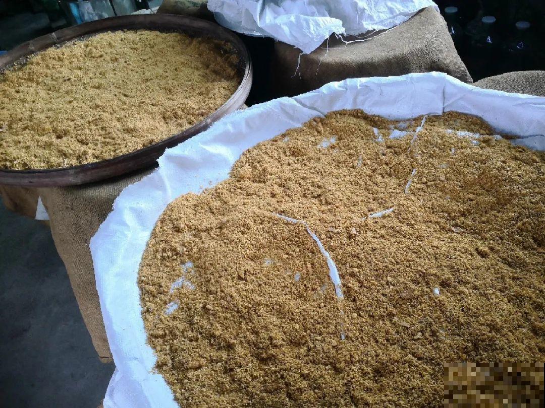 爬山虎不能随便养,爬满墙后特潮湿,还可能破坏墙体! 爬山虎不能随便养,爬满墙后特潮湿,还可能破坏墙体!