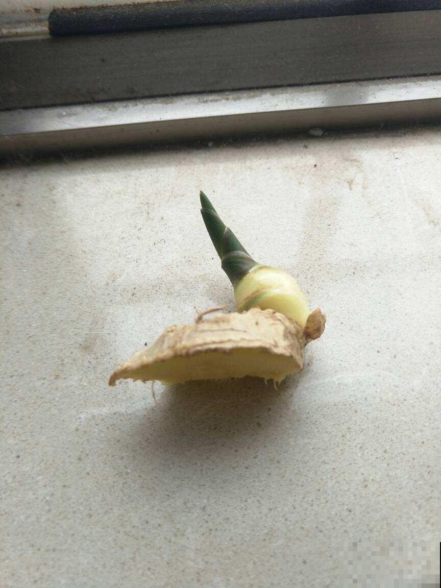 春捂秋冻要看温度，身体这5个地方，不能冻