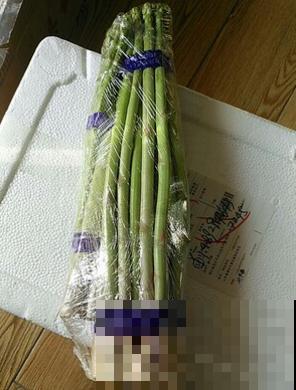 芦笋美味,冬天也能吃,买个种根就能种,太实惠! 芦笋美味,冬天也能吃,买个种根就能种,太实惠!