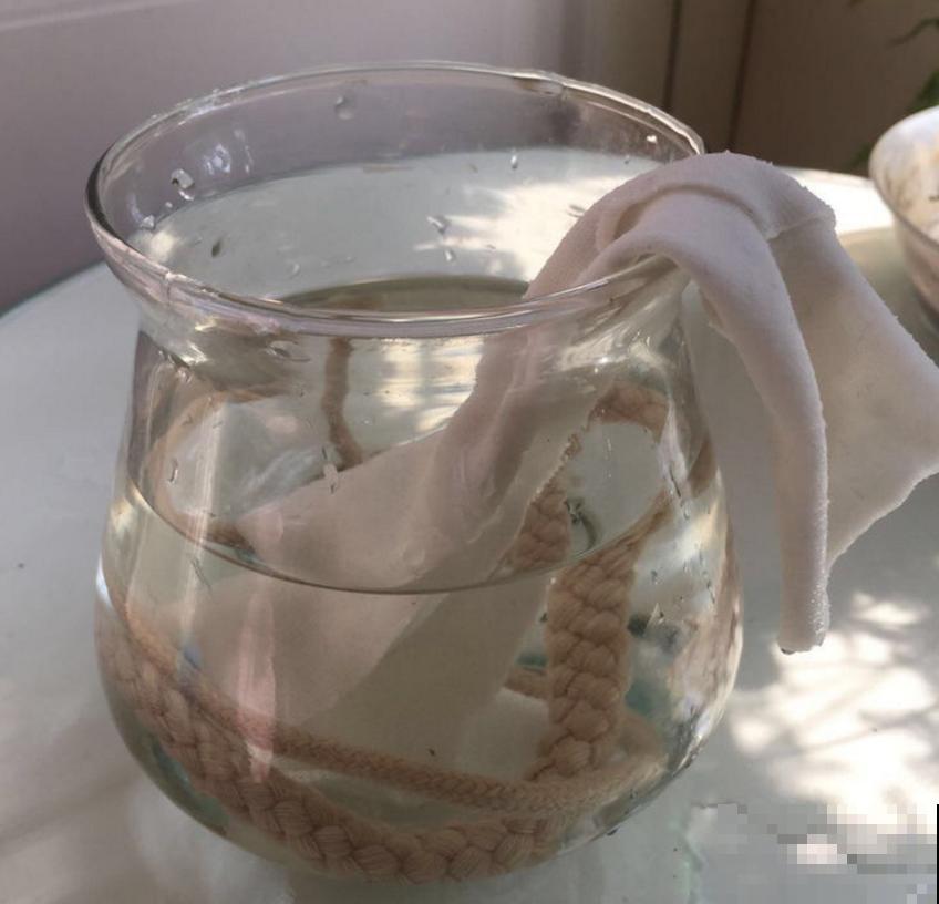 花友出差，花卉没人浇水？3种方法，个个实用！