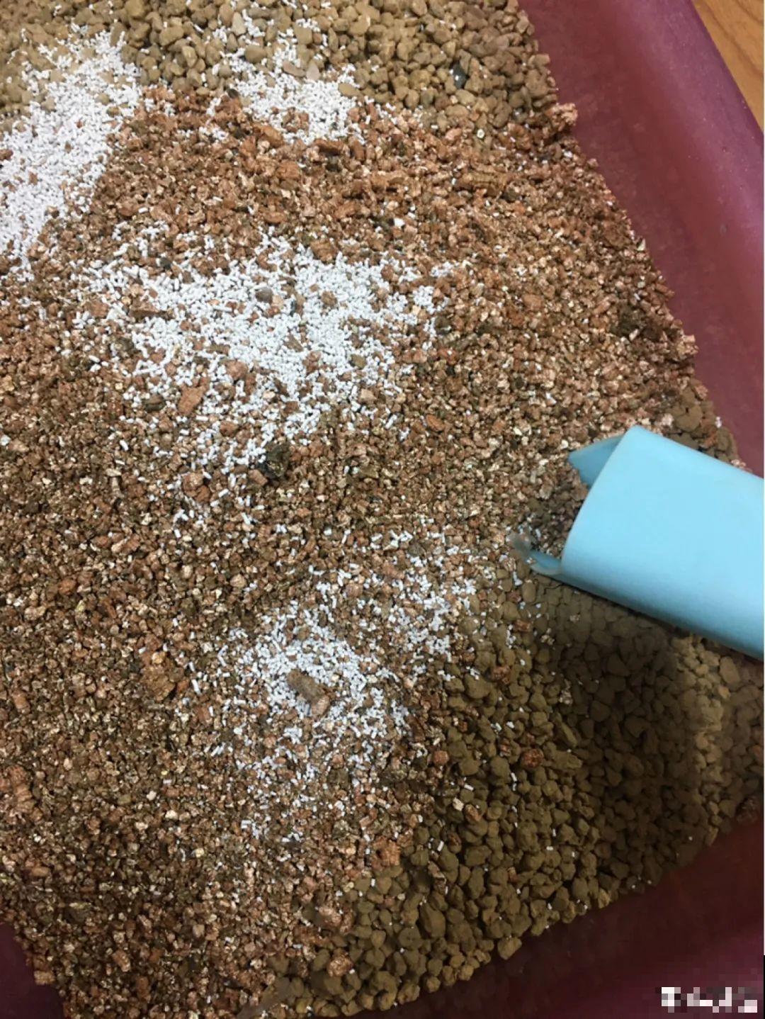 最好用的养花肥，盆里撒一把，1年不用换盆了！