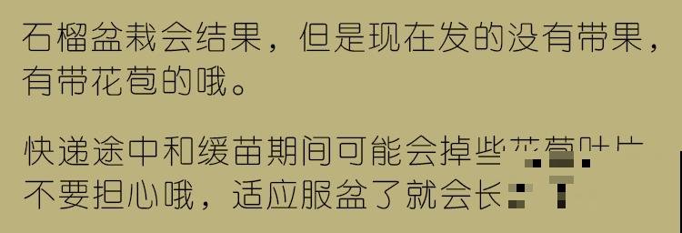 爱吃水果，就在家养水果盆栽，满枝都是果子