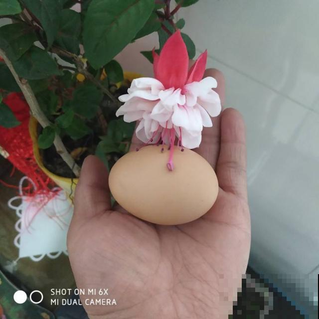 鸡蛋的保质期有多久？4个保存鸡蛋小妙招，延长鸡蛋新鲜度