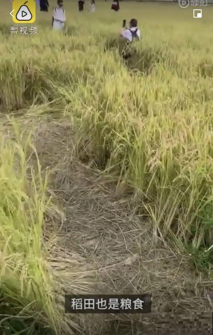 假期出门玩，遇到不文明行为，必须曝光！