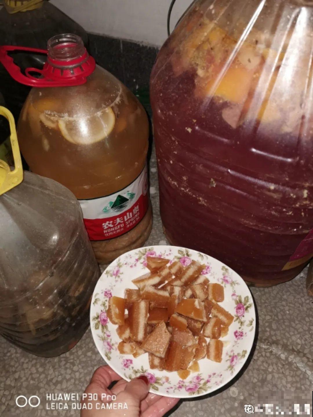 长寿总是不开花，黑塑料袋一套，立马咕噜噜冒花苞！