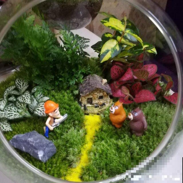 盆土表面撒点“粉末”,保暖又保湿,花长得格外好 盆土表面撒点“粉末”,保暖又保湿,花长得格外好