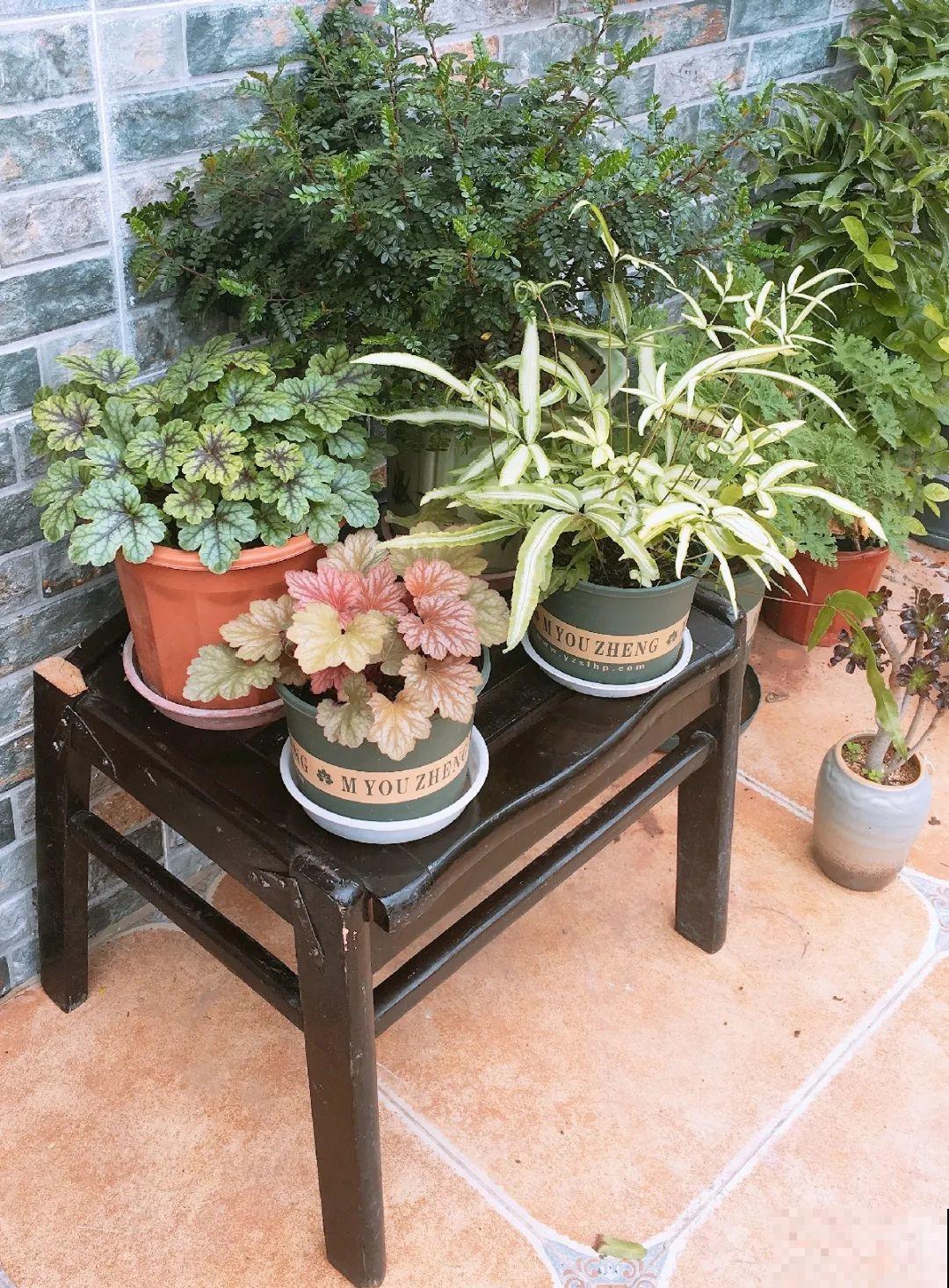 人家拆迁，我捡宝贝，花盆大缸……随便拿！