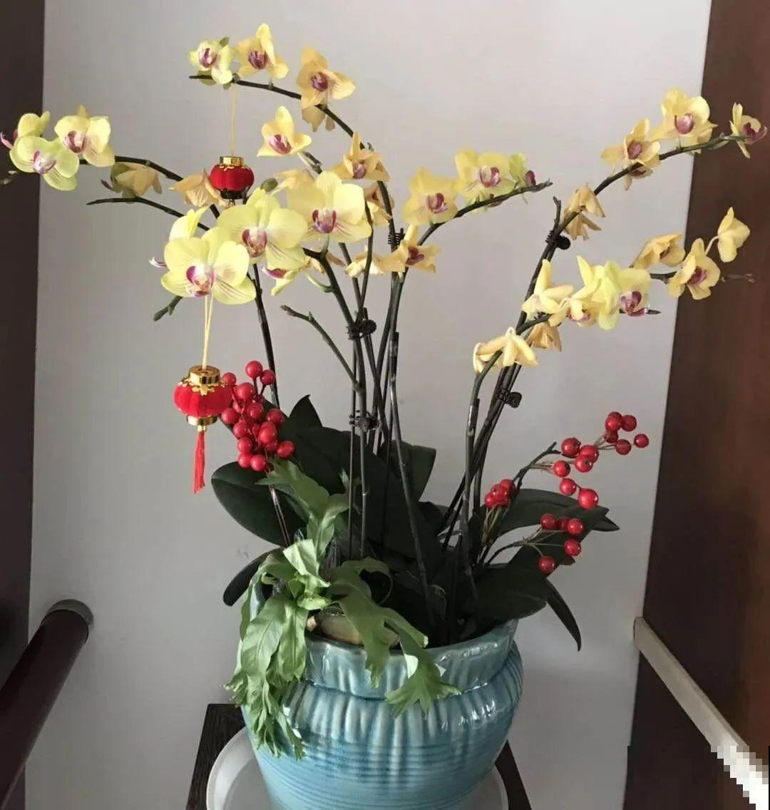 10月养花掐一掐,掐完就来花,盆都塞不下! 10月养花掐一掐,掐完就来花,盆都塞不下!