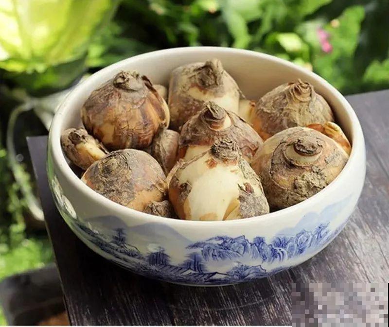 冬天啥花都可以不养，唯独这一种，不养亏大了！