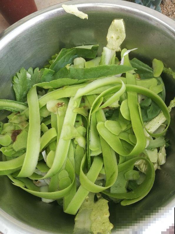 换盆之后的土，掺上一点“小东西”，土壤肥得流油