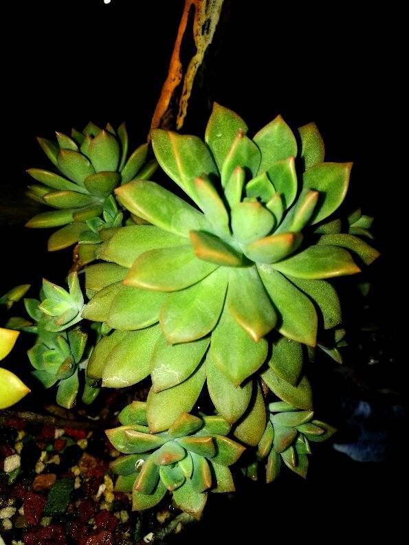 秋冬季节易得流感，记住6个要点，流感不上身