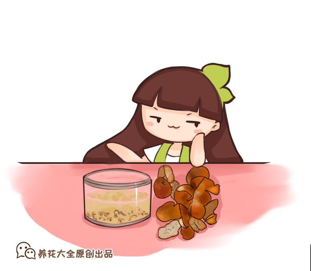 吃剩的果皮不要丢，水里浸泡一天一夜，用来浇花效果超好